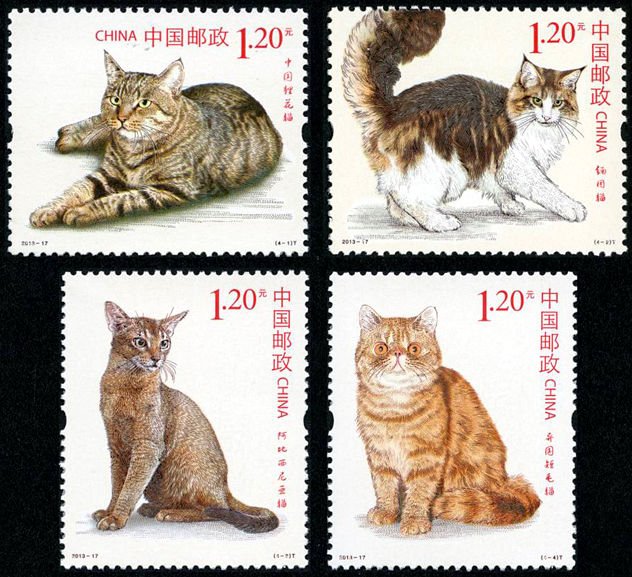 2013-17, Cats《猫》