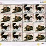 2013-17, Cats《猫》