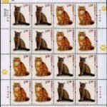 2013-17, Cats《猫》