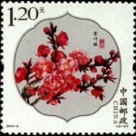 2013-06, Peach Blossom《桃花》