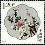 2013-06, Peach Blossom《桃花》
