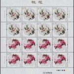 2013-06, Peach Blossom《桃花》