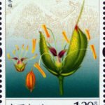 2013-29, Hybrid Rice《杂交水稻》