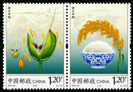 2013-29, Hybrid Rice《杂交水稻》