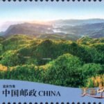 (6-3), Bamboo Sea in Yibin, 100 fen, 40 * 30 mm