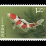 2017-14, Cyprinus carpio(Not issued or published)《锦鲤(未发行)》