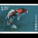 2017-14, Cyprinus carpio(Not issued or published)《锦鲤(未发行)》