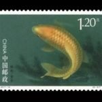 2017-14, Cyprinus carpio(Not issued or published)《锦鲤(未发行)》