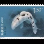 2017-14, Cyprinus carpio(Not issued or published)《锦鲤(未发行)》