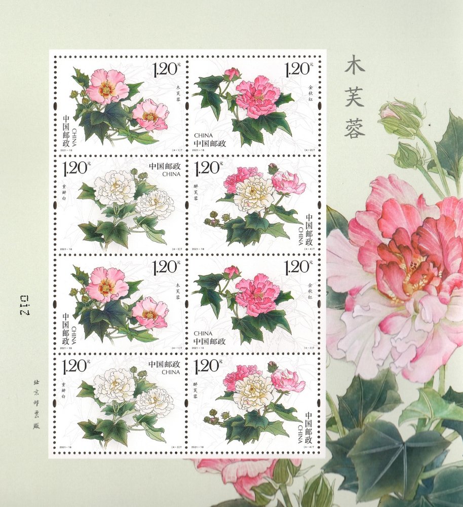 2021-18, Cotton Rose《木芙蓉》