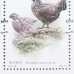 (8-1), Tetrastes Sewerzowi, 80 fen, 30 * 40 mm