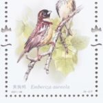 (8-2), Emberiza Aureola, 80 fen, 30 * 40 mm