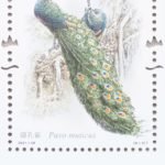(8-3), Pavo Muticus, 120 fen, 30 * 40 mm