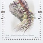 (8-6), Shinisaurus Crocodilurus, 120 fen, 30 * 40 mm
