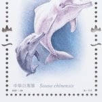 (8-7), Sousa Chinensis, 120 fen, 30 * 40 mm