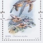 (8-8), Chelonia Mydas, 150 fen, 30 * 40 mm