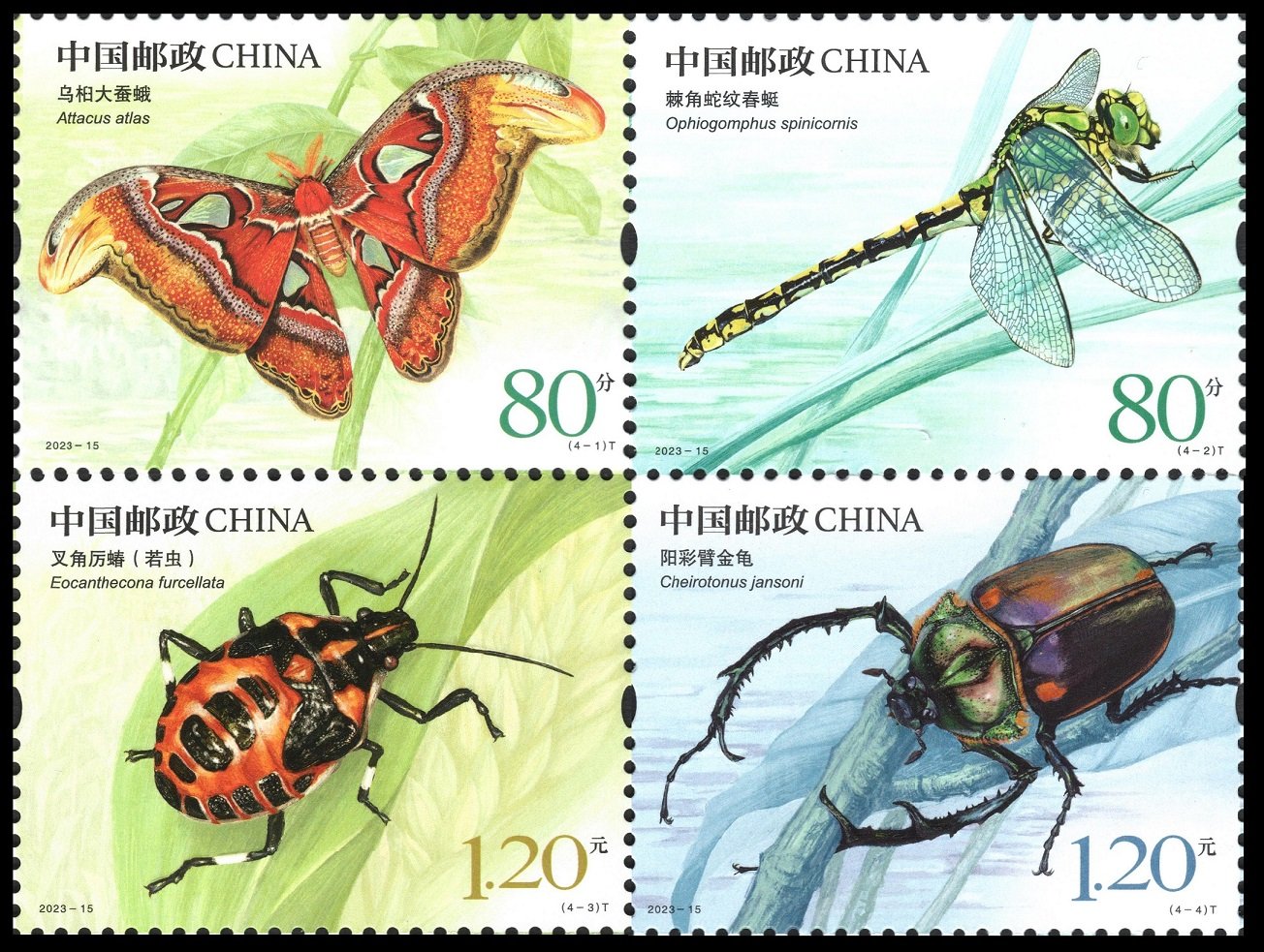 2023-15 Insects (II)