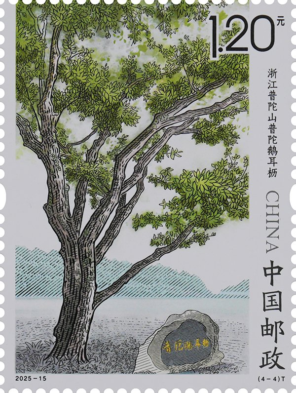 2025-15, Ancient and Famous Trees《古树名木》 - Chinese Postage Stamps ...
